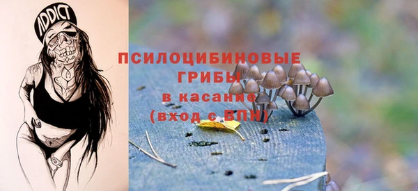 крисы Балахна