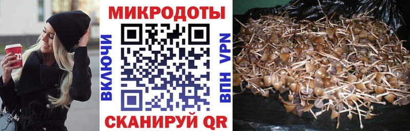гидра ссылки  Гороховец  Галлюциногенные грибы Psilocybe  наркошоп 